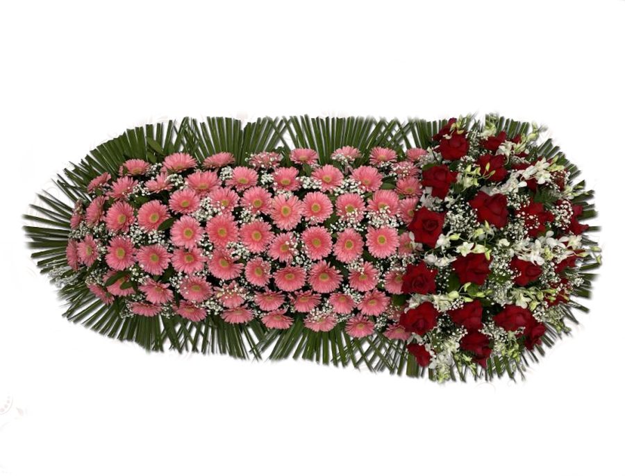 Copribara gerbere rose