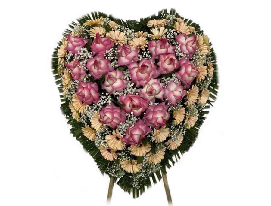 Cuore extra