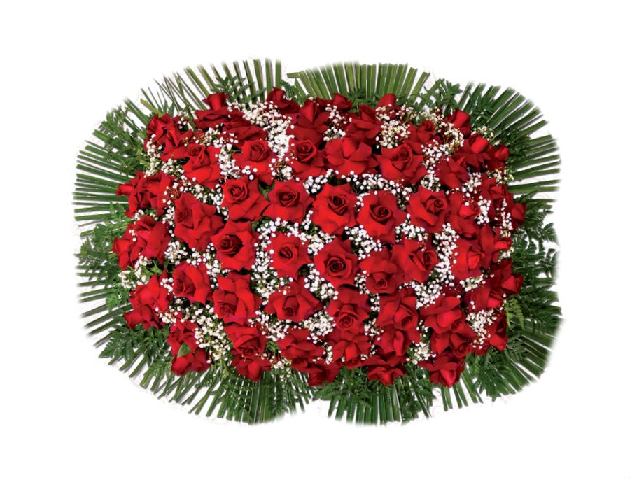 Cuscino di Rose