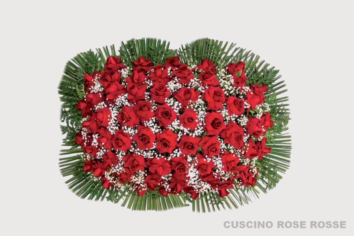 Cuscino rose rosse